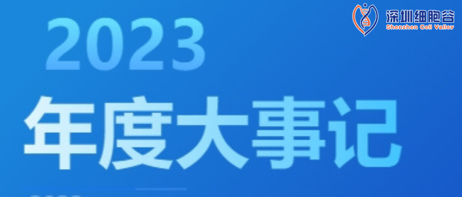 回眸展望，筑梦前行|深圳圣淘沙网站2023年度企业大事记