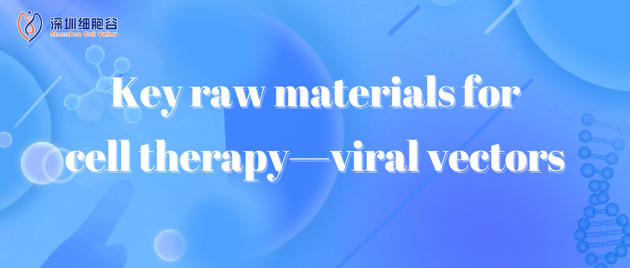 Key raw materials for cell therapy—viral vectors